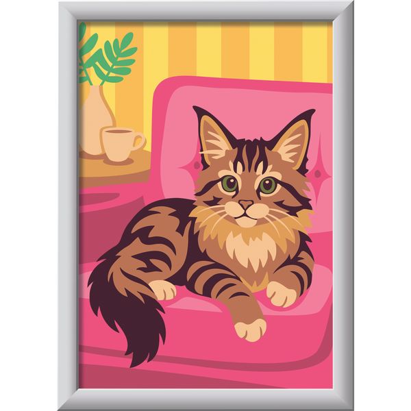 Ravensburger - creart maine coon kitten - CREART