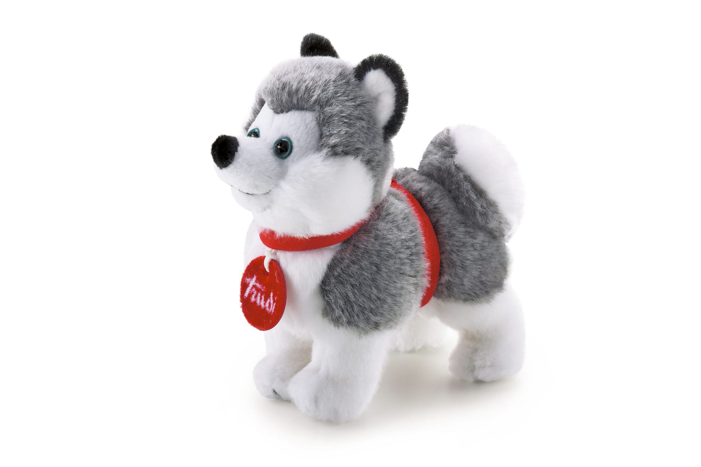 Trudino husky - 