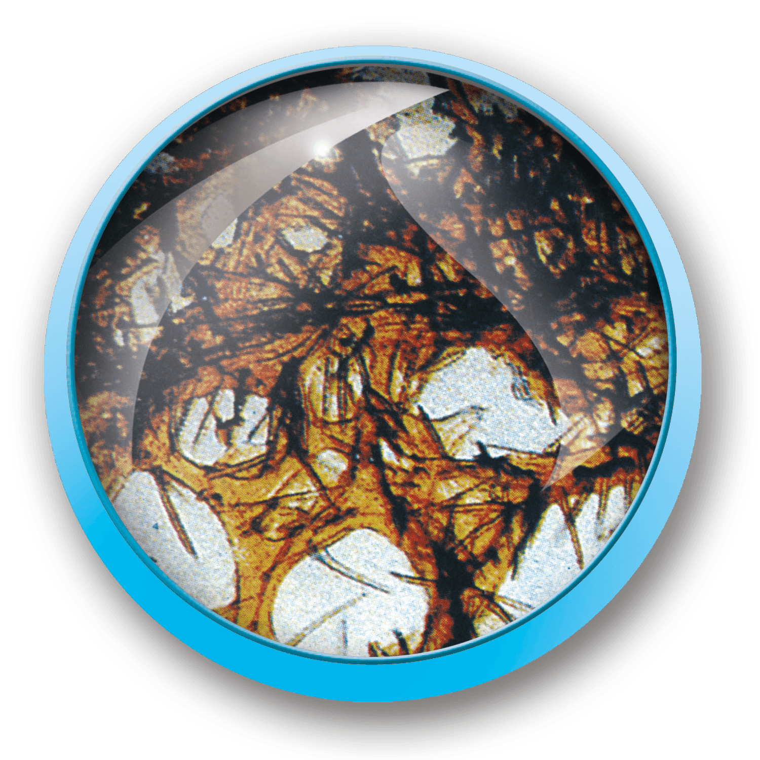 Valigetta microscopio 1200x - MICRO PLANET