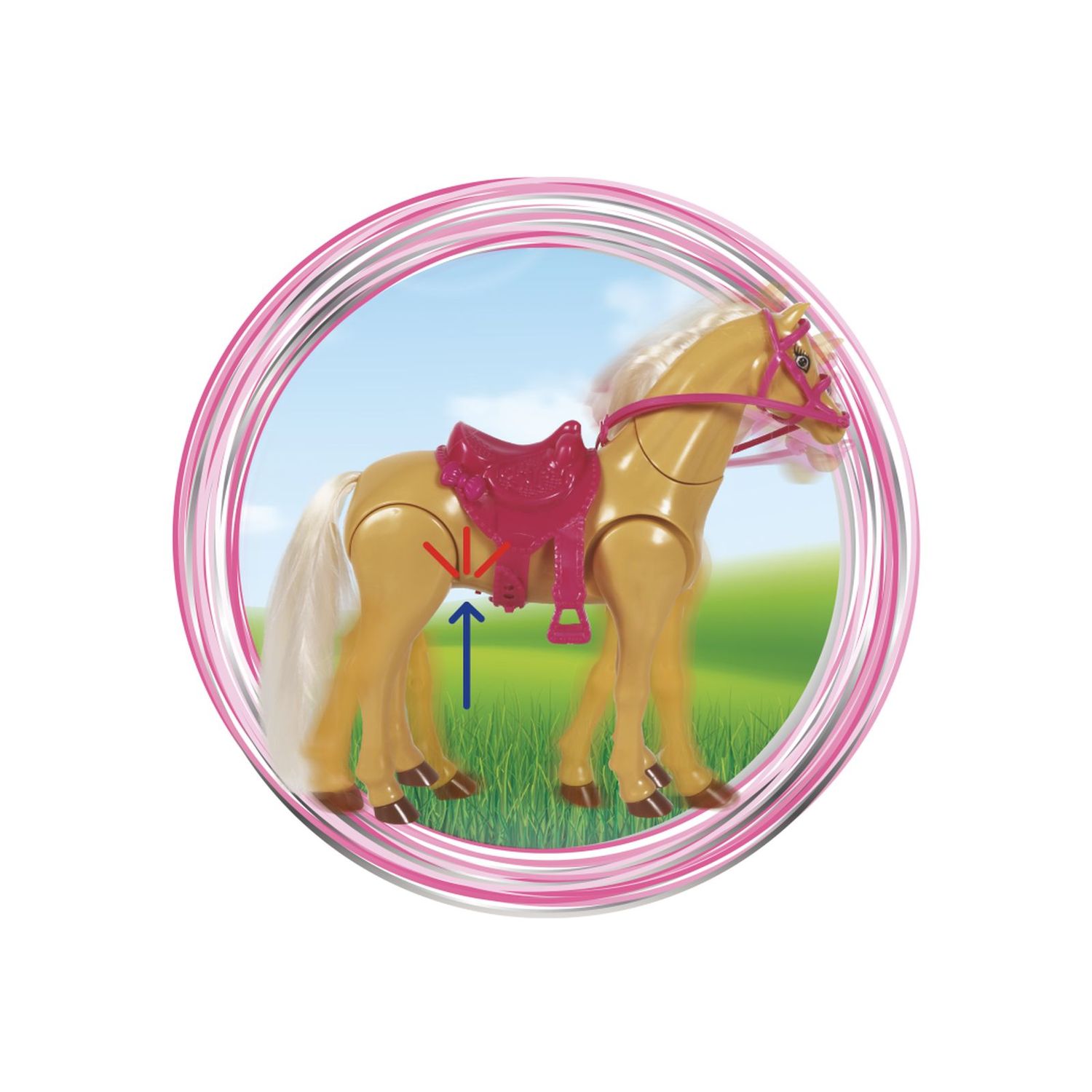 Lolly riding club - LOLLY