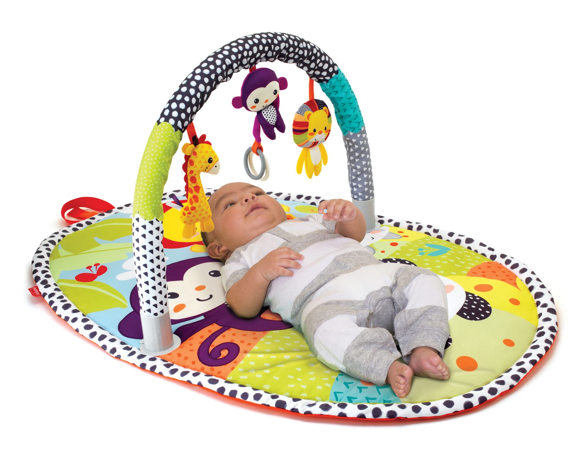 Palestrina - activity gym - INFANTINO