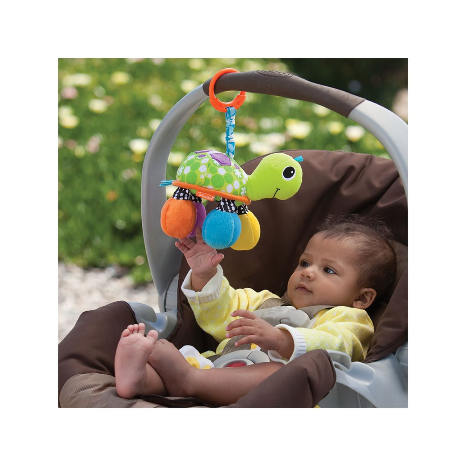 Sonaglino tartaruga - INFANTINO