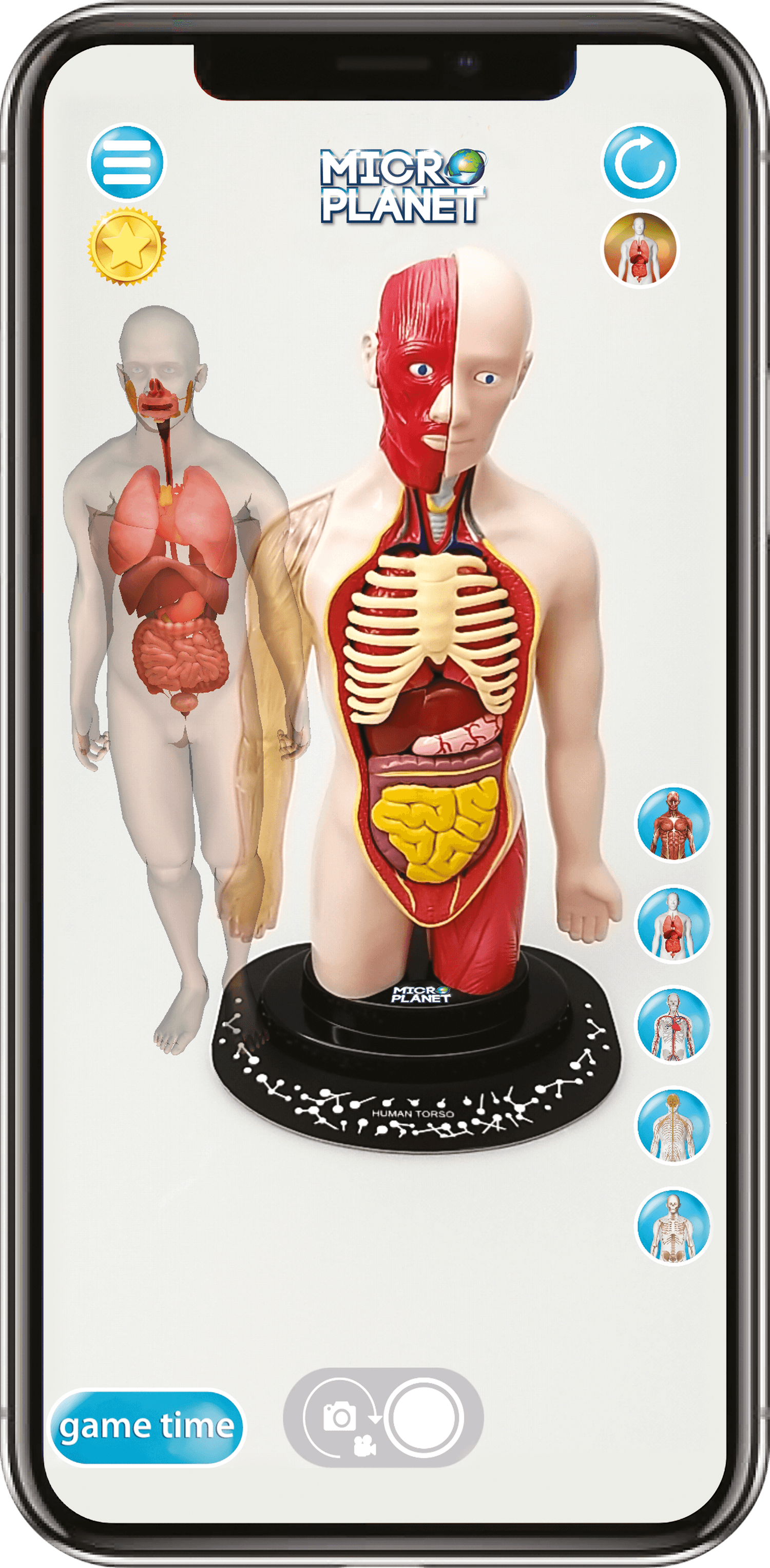 Torso umano - MICRO PLANET