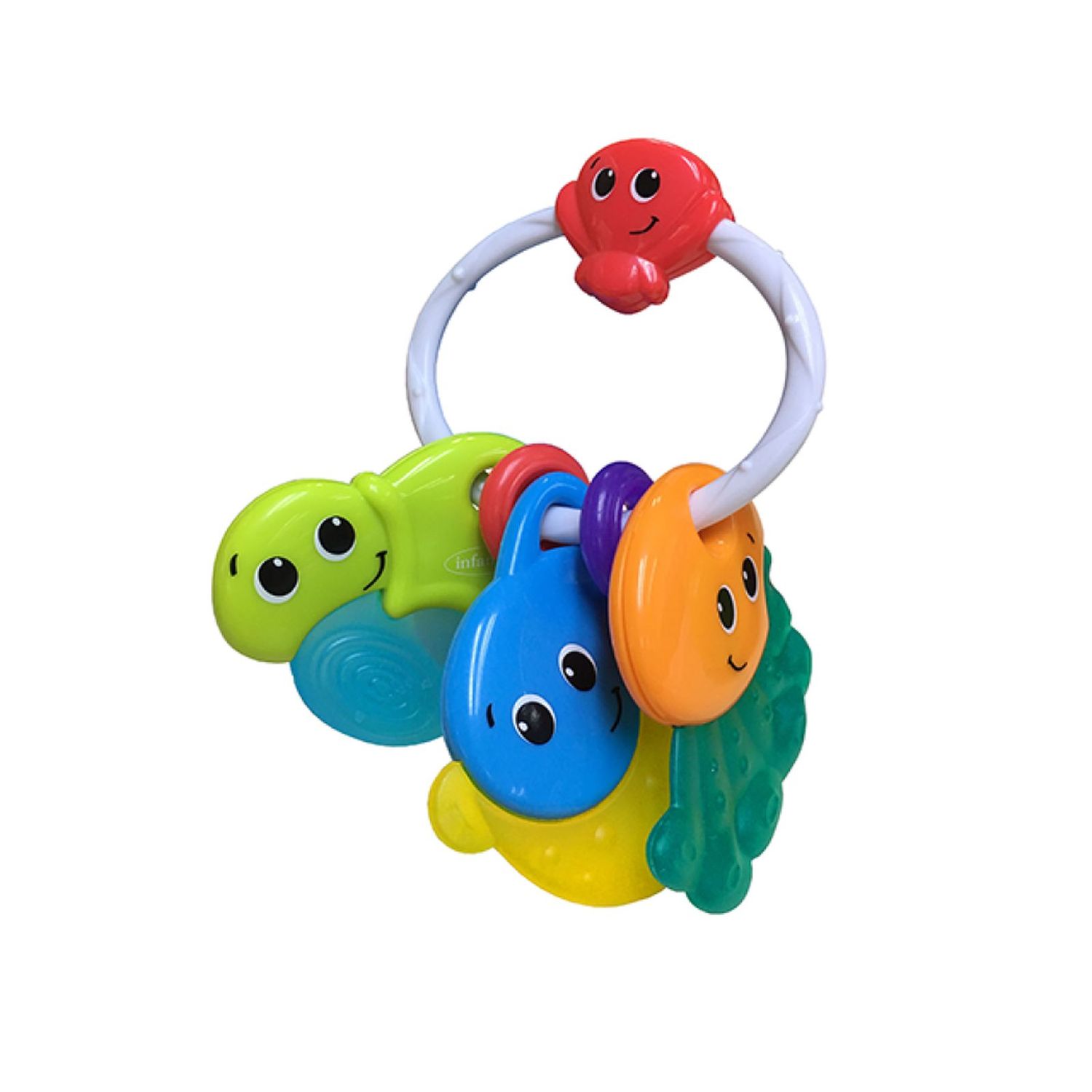 Dentaruolo - animali marini - INFANTINO