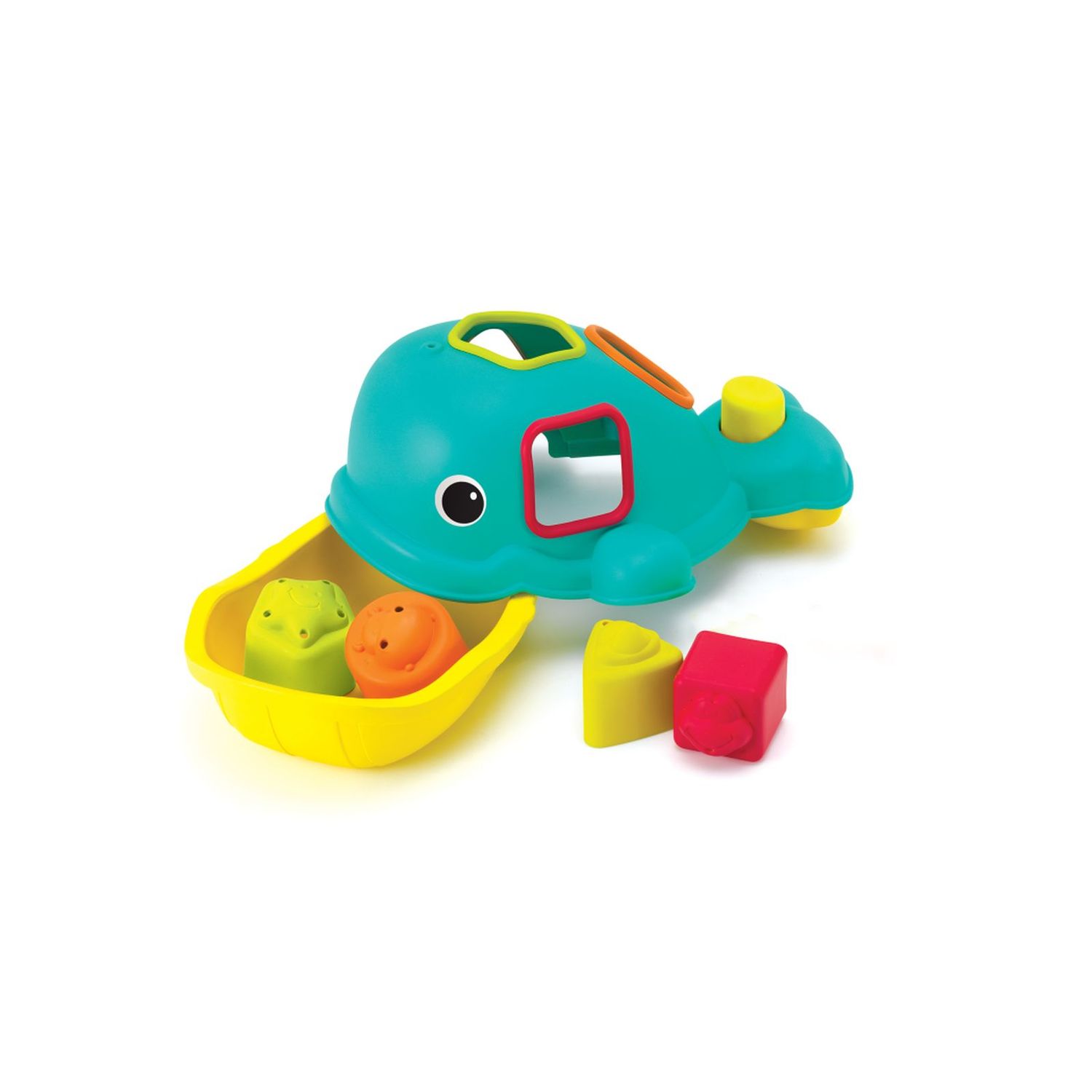 Balena tante forme - INFANTINO