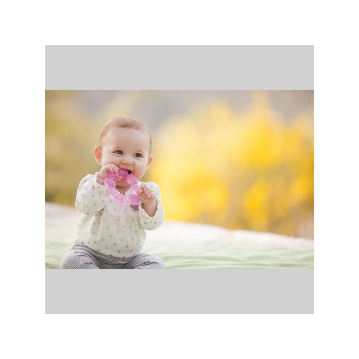 Dentaruolo - rosa - INFANTINO