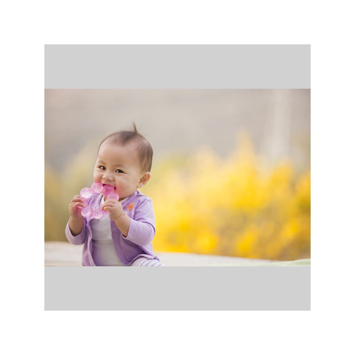 Dentaruolo - rosa - INFANTINO