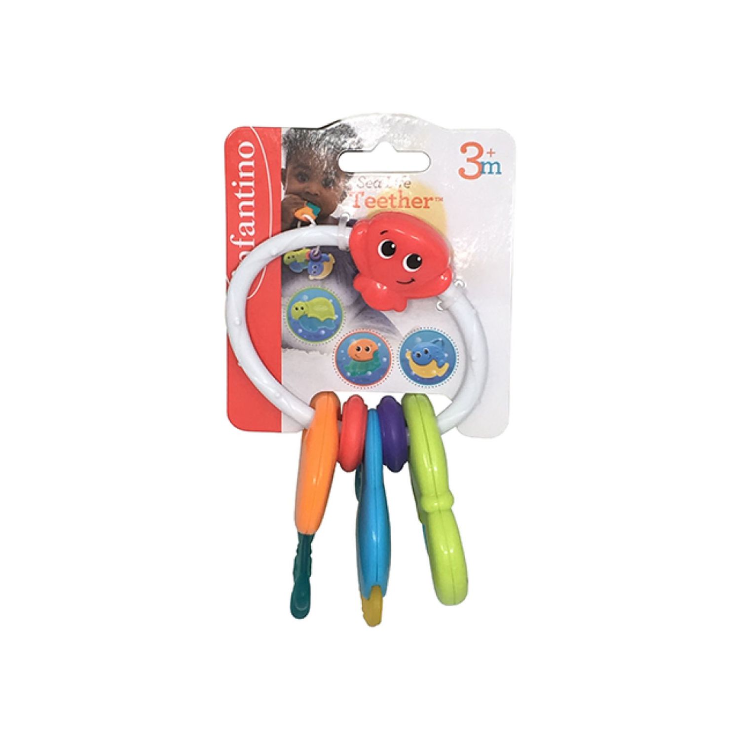 Dentaruolo - animali marini - INFANTINO