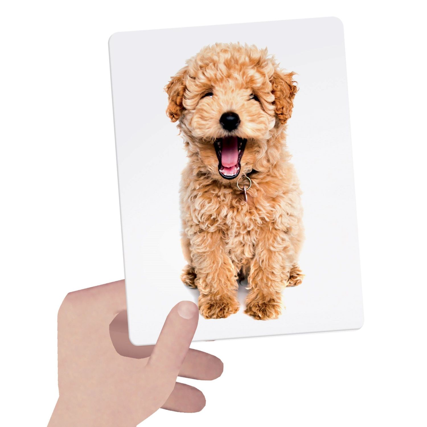 Headu - flashcards tactile montessori - HEADU