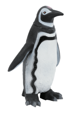 Animal world - sea collection - ANIMAL WORLD