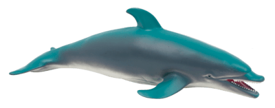 Animal world - sea collection - ANIMAL WORLD