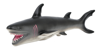 Animal world - sea collection - ANIMAL WORLD