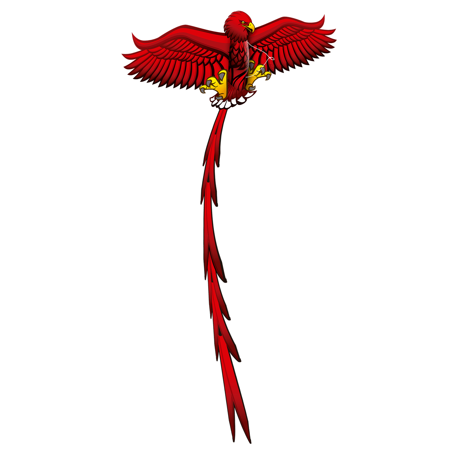 Aquilone farfalla - aquilone aquila - SUN&SPORT