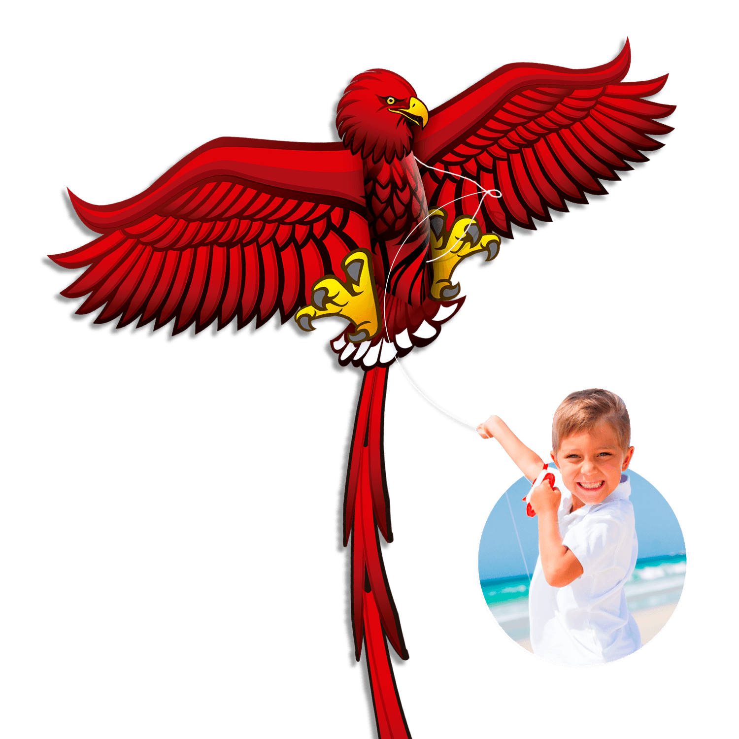 Aquilone farfalla - aquilone aquila - SUN&SPORT