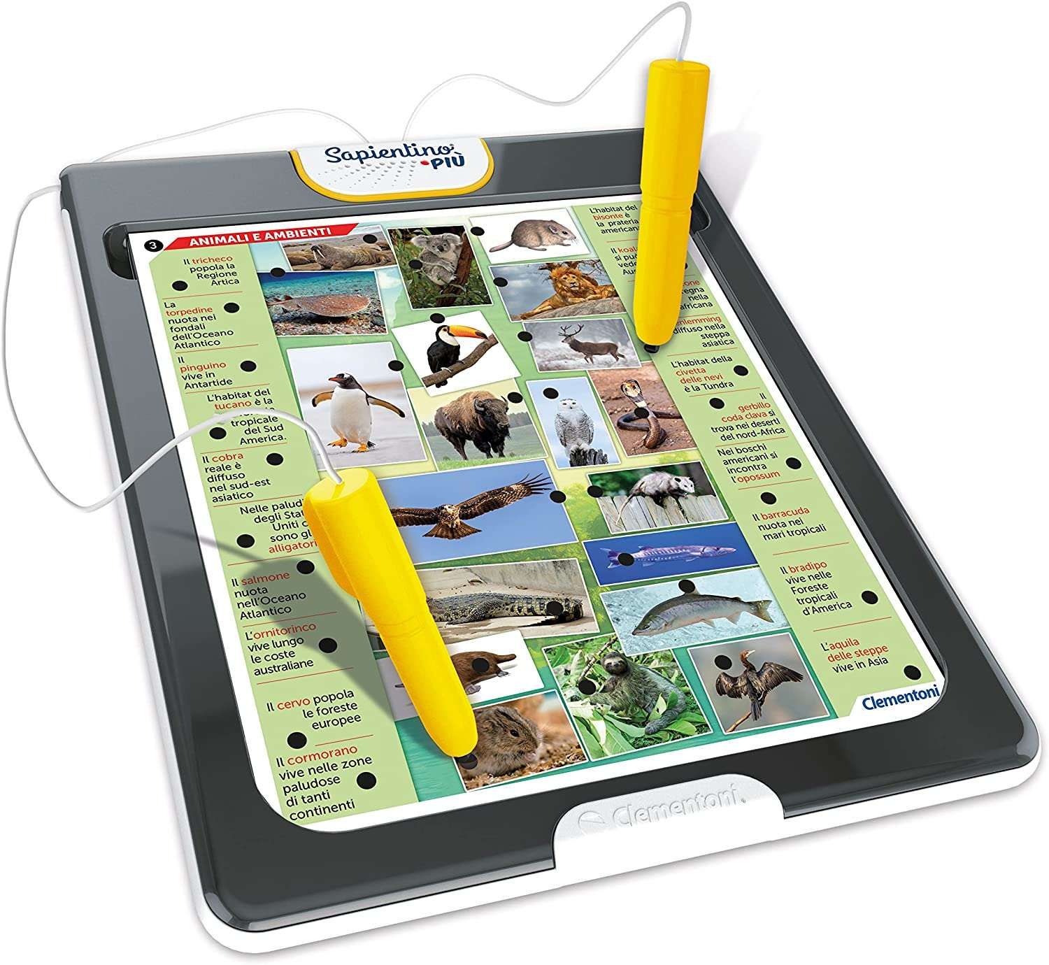 Sapientino piu' enciclopedia - SAPIENTINO