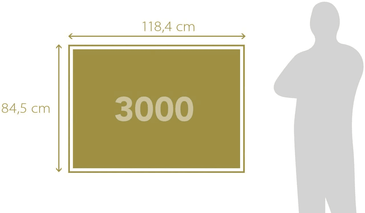 Clementoni puzzle paris dream - 3000 pezzi - CLEMENTONI