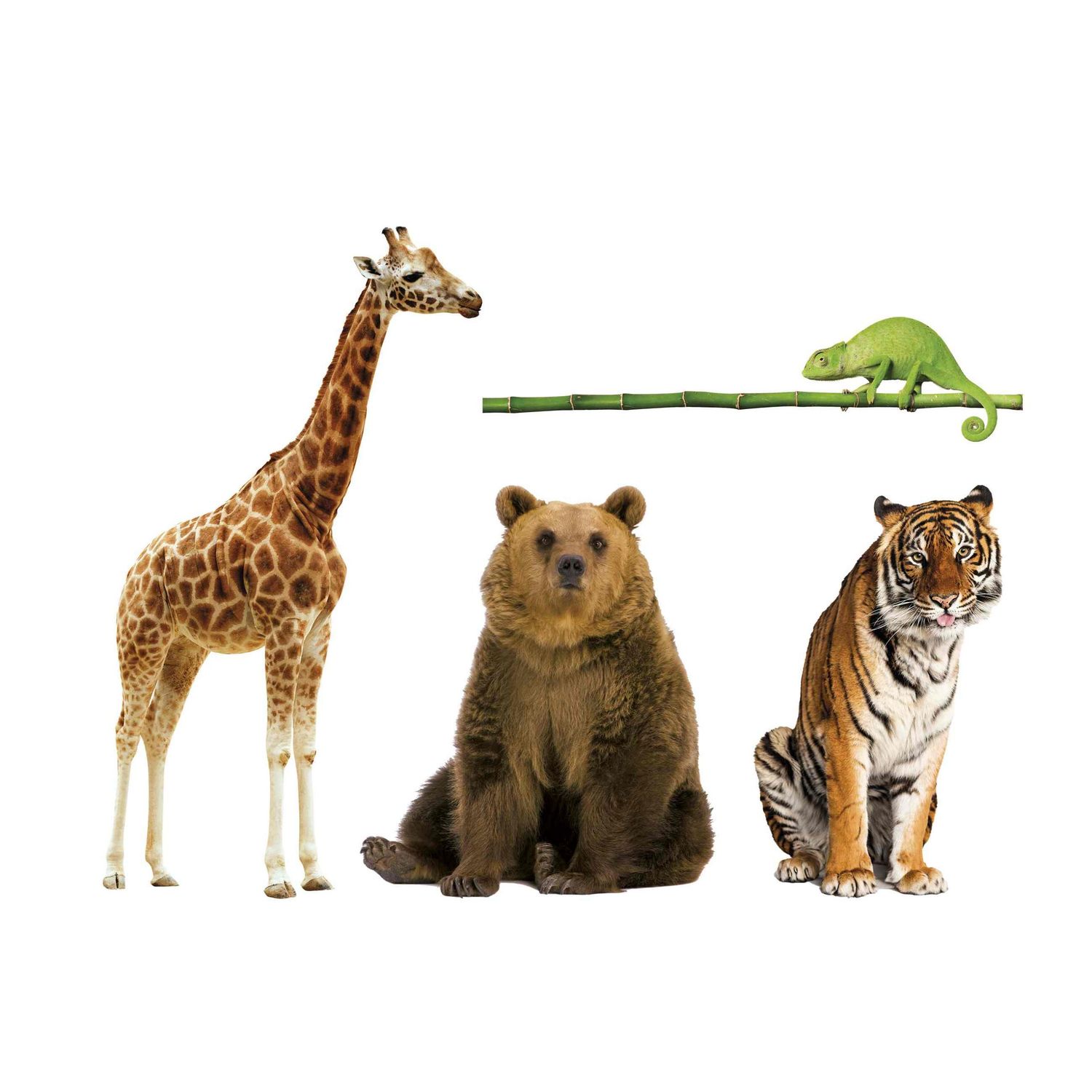 Animali da record - CLEMENTONI