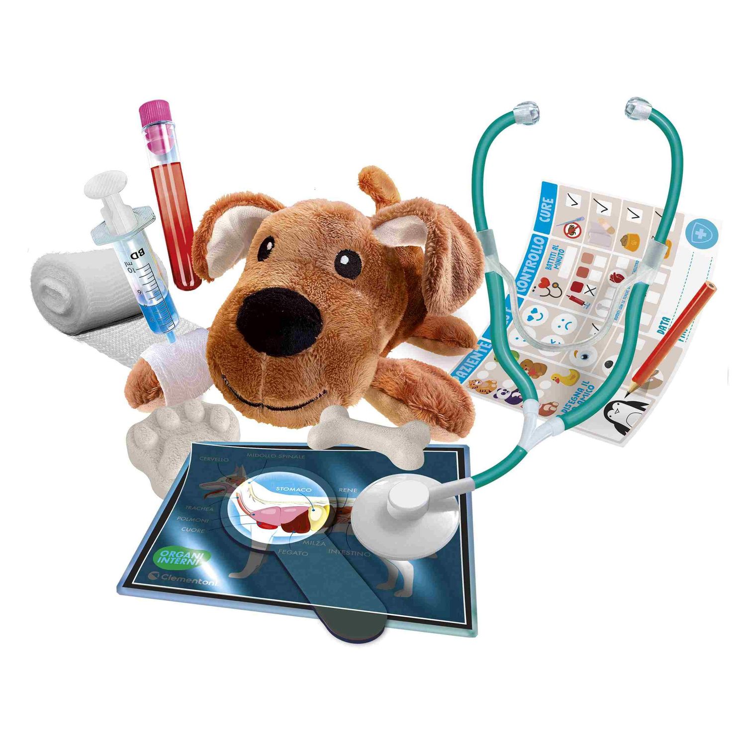 Apprendisti veterinari - Scienza e Gioco