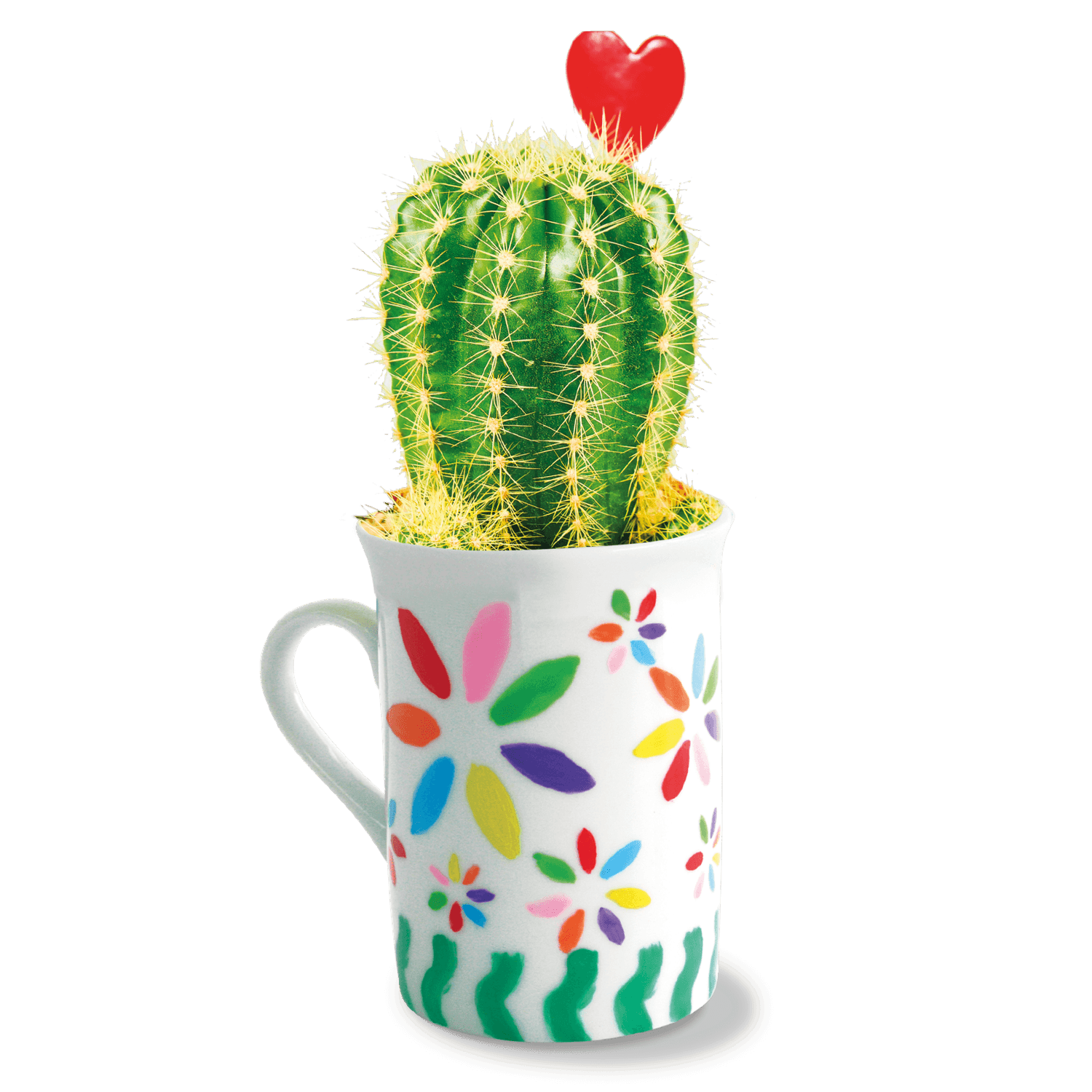 Decora le tazze - CREA MANIA