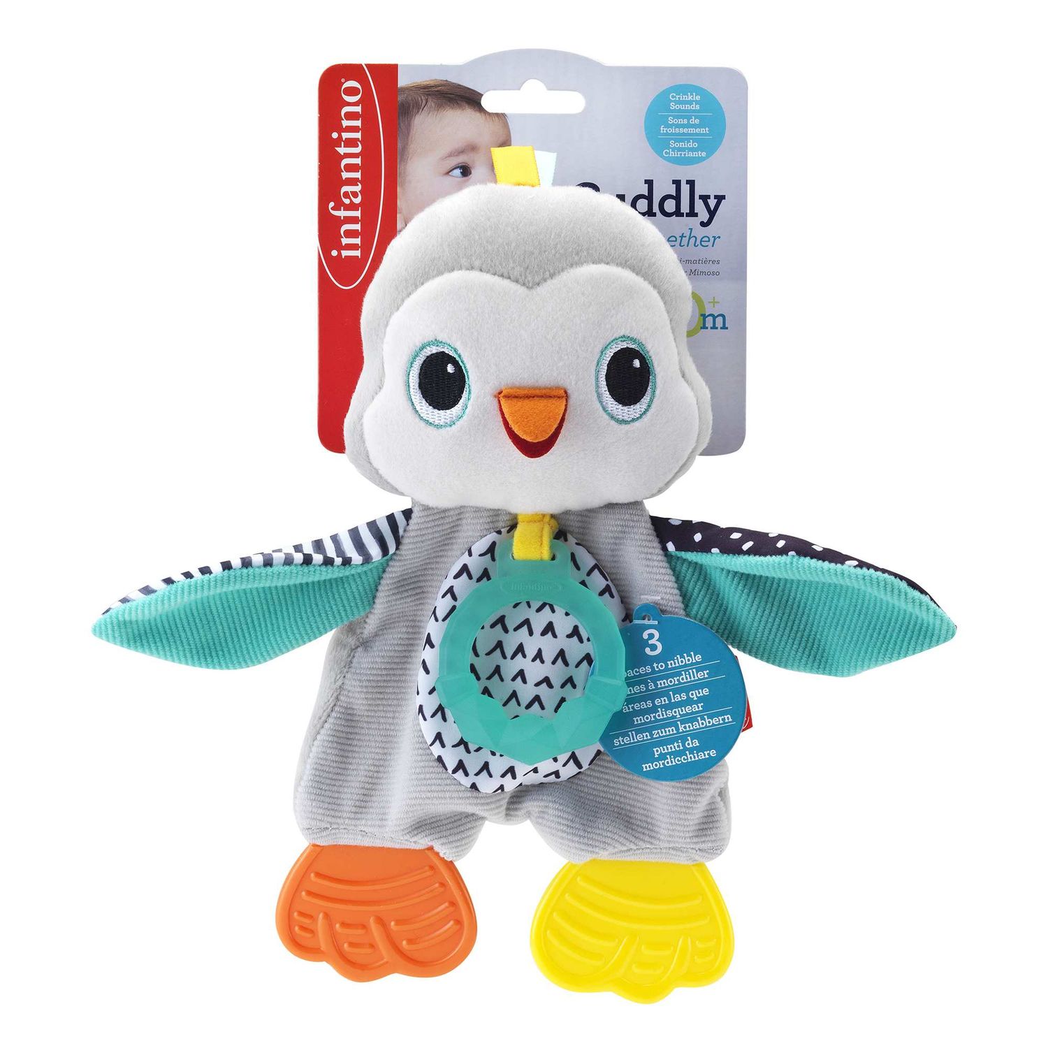 Dentaruolo pinguino - INFANTINO