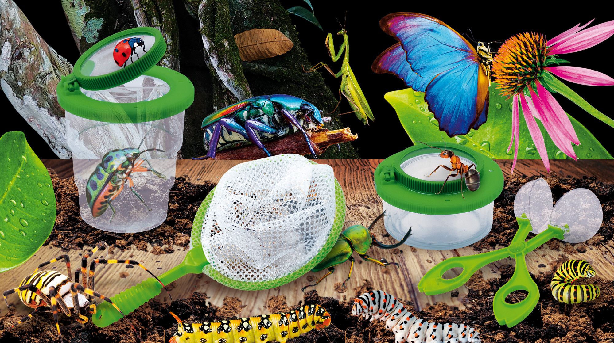 I'm a genius scienza in casa insetti - LISCIANI