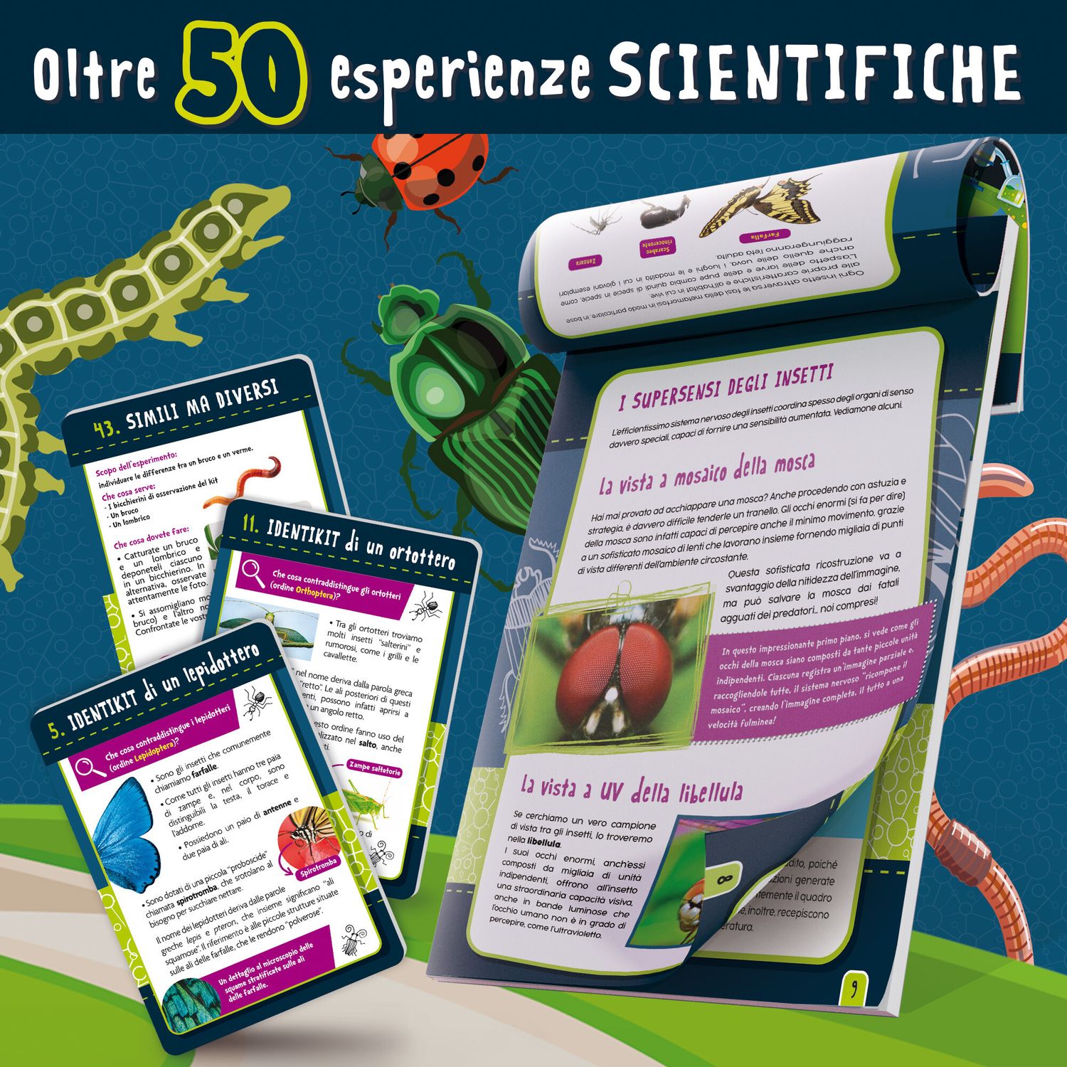 I'm a genius scienza in casa insetti - LISCIANI