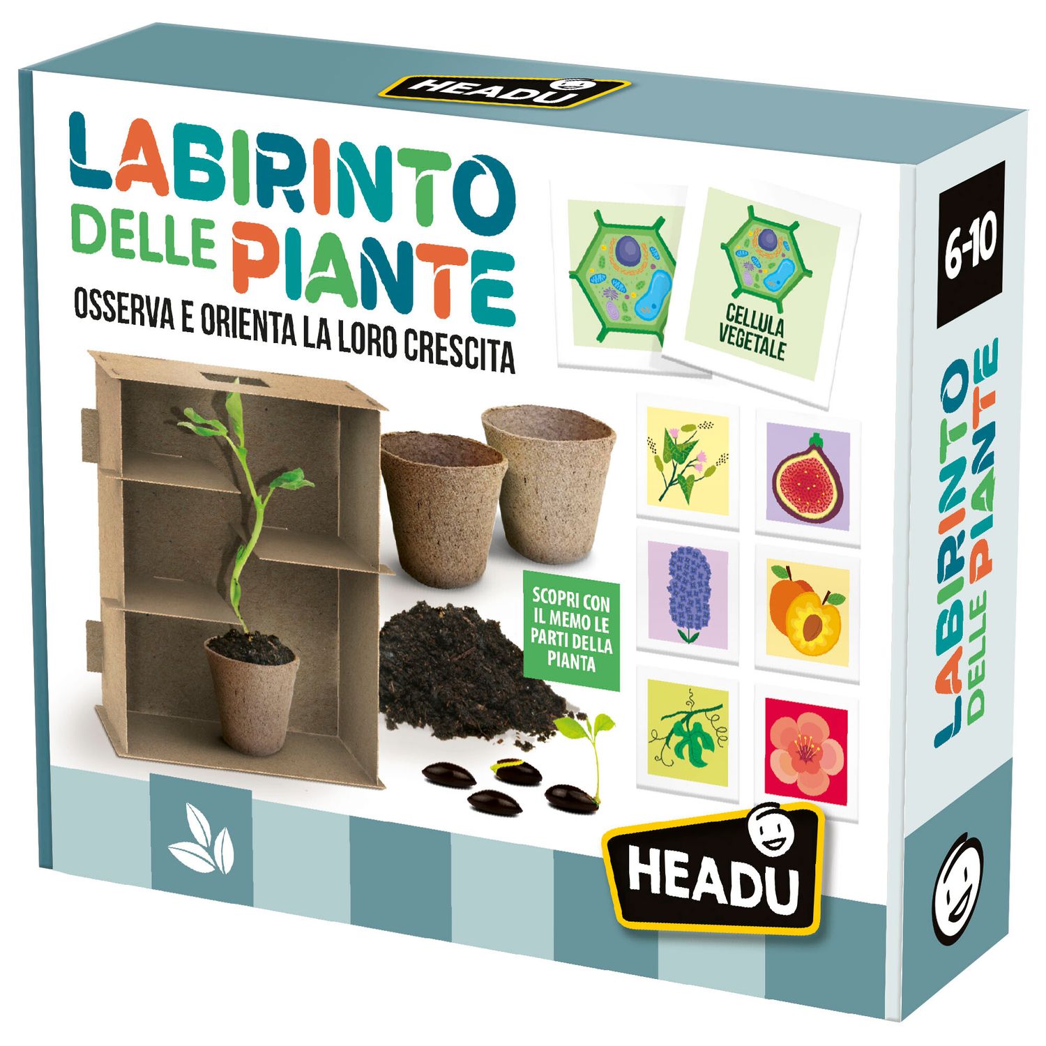 Labirinto delle piante. come orientare la crescita delle piante. s.t.e.m.	6-10 anni - HEADU