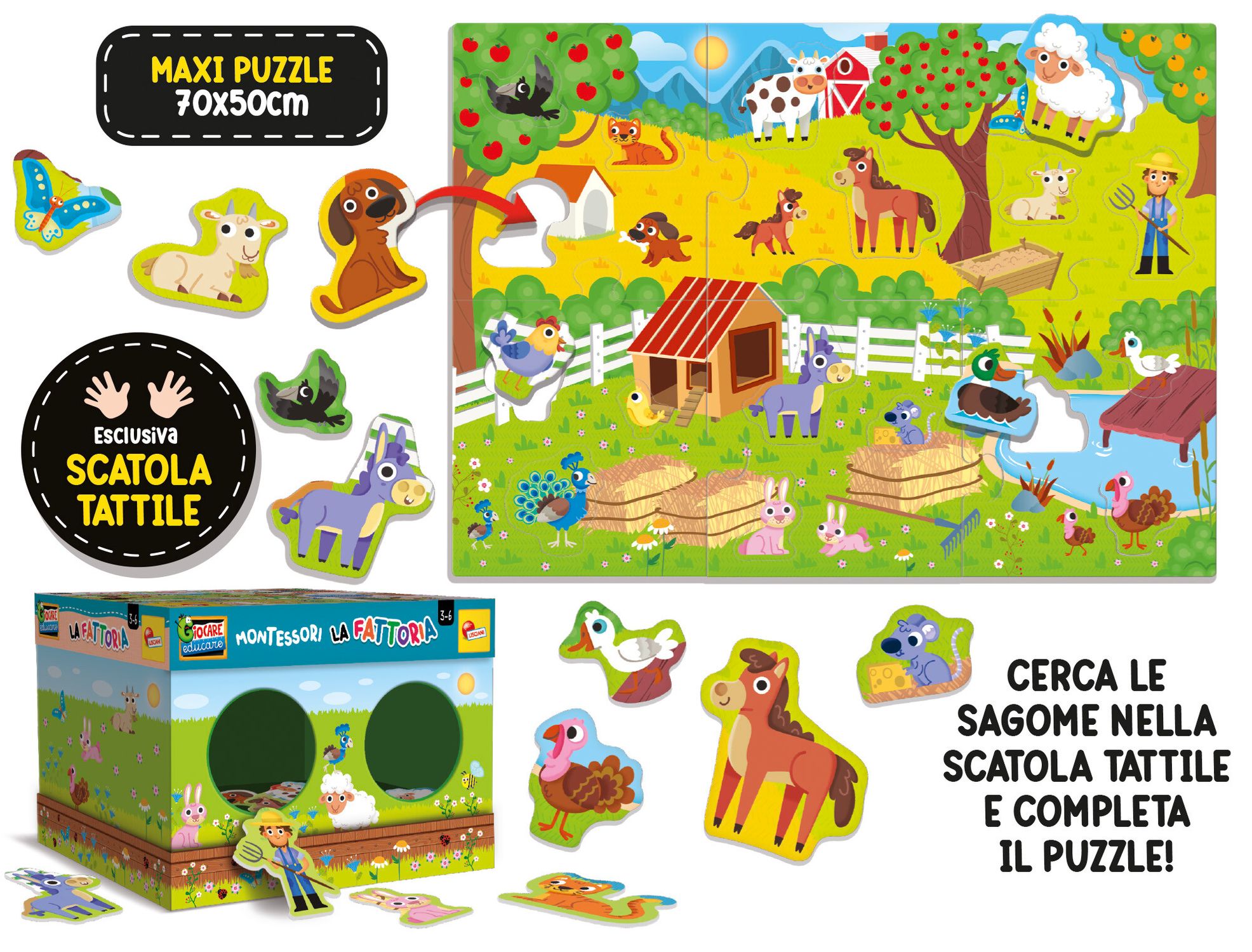 Montessori la fattoria - LISCIANI