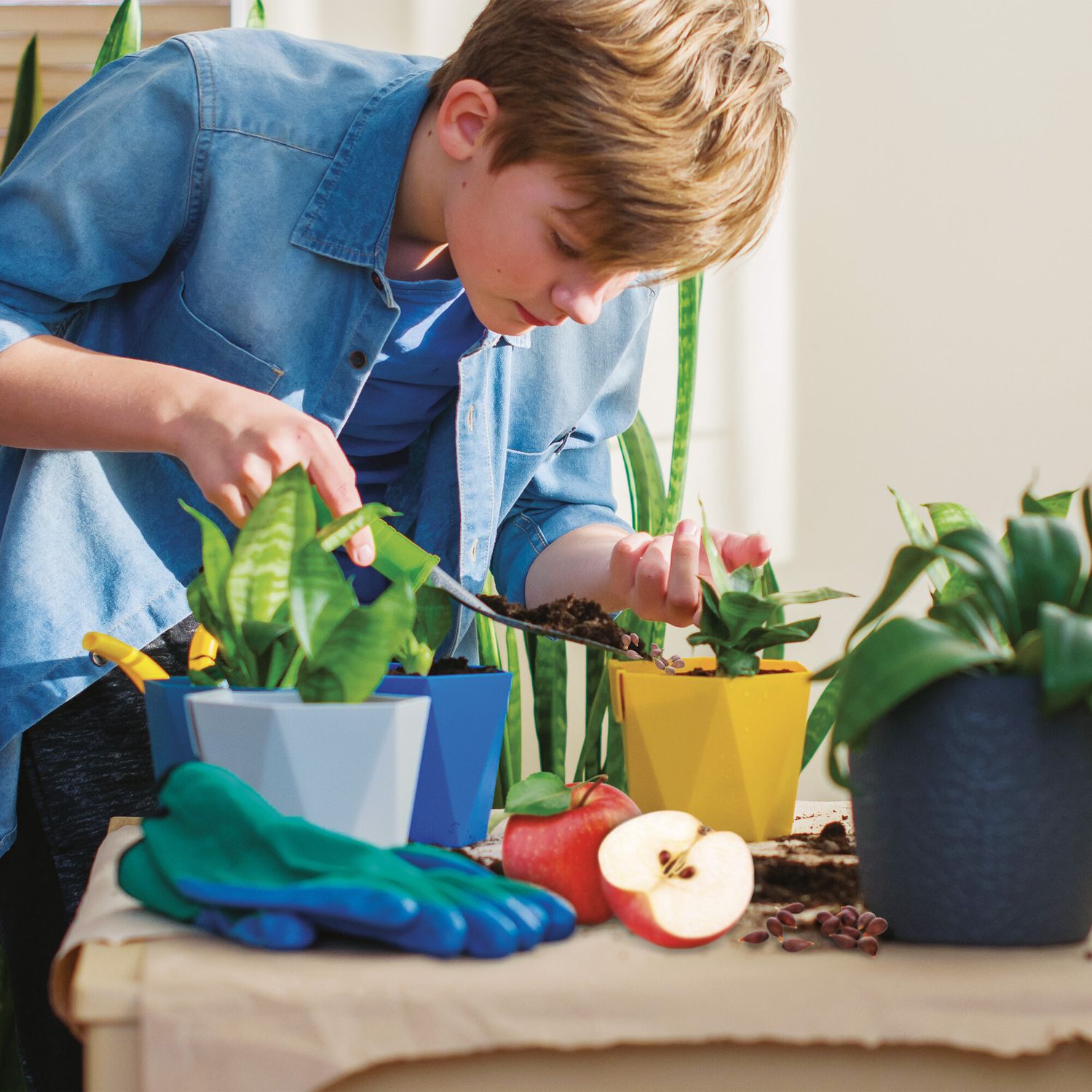 I'm a genius scienza pocket la mia serra - LISCIANI