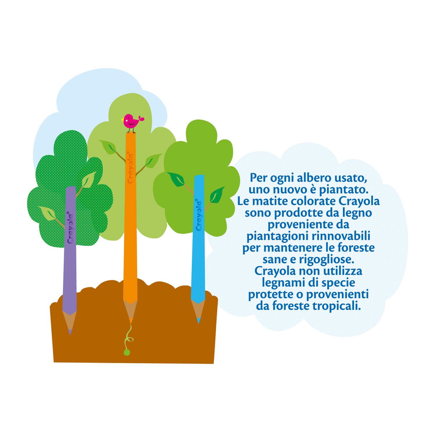 Crayola - scatola da 12 matite colorate di legno fsc - pastelli colorati con mina resistente - CRAYOLA