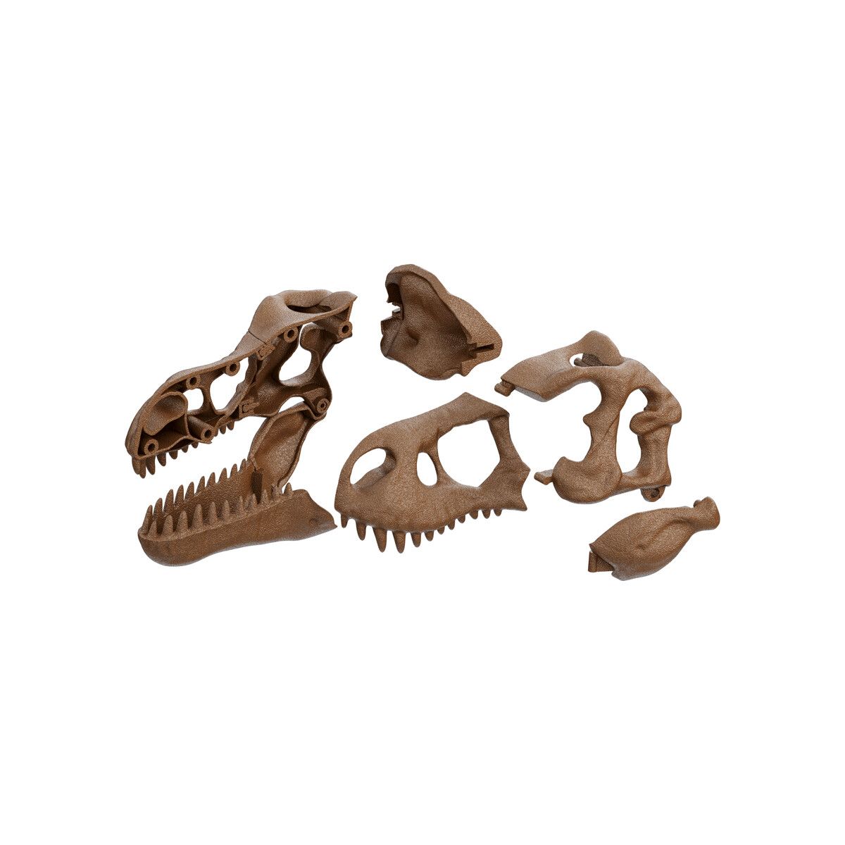 Clementoni - 19324 - archeogiocando kit t-rex 2in1 - CLEMENTONI, Scienza e Gioco