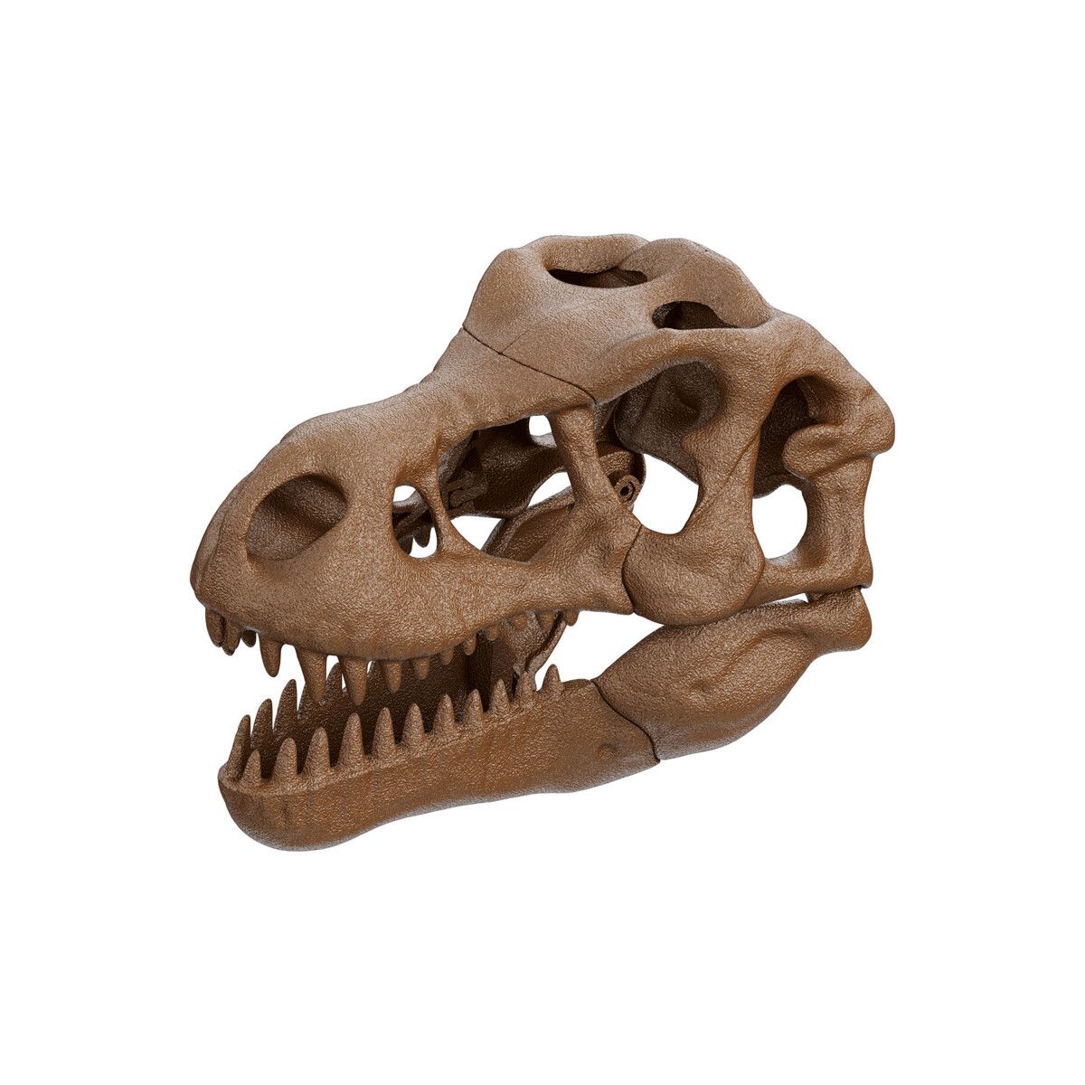 Clementoni - 19324 - archeogiocando kit t-rex 2in1 - CLEMENTONI, Scienza e Gioco