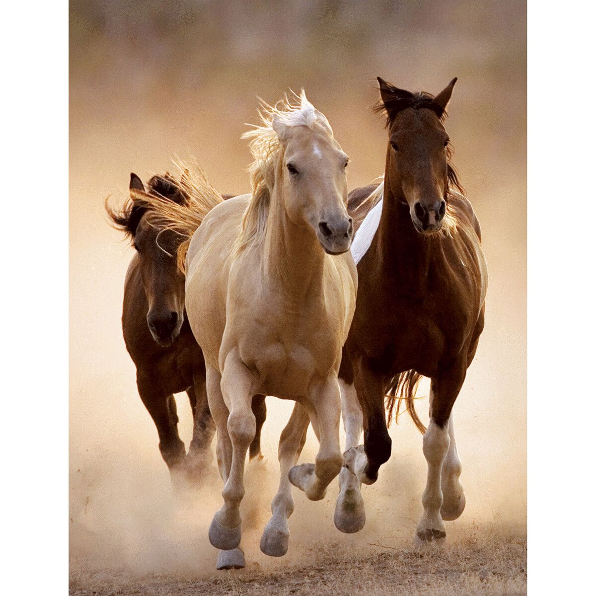 Clementoni - 39168 - puzzle 1000 hqc running horses 70 x 50 cm - CLEMENTONI