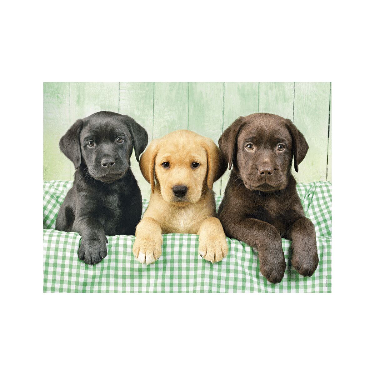 Clementoni - 39279 - puzzle 1000 hqc i tre labrador 70 x 50 cm - CLEMENTONI