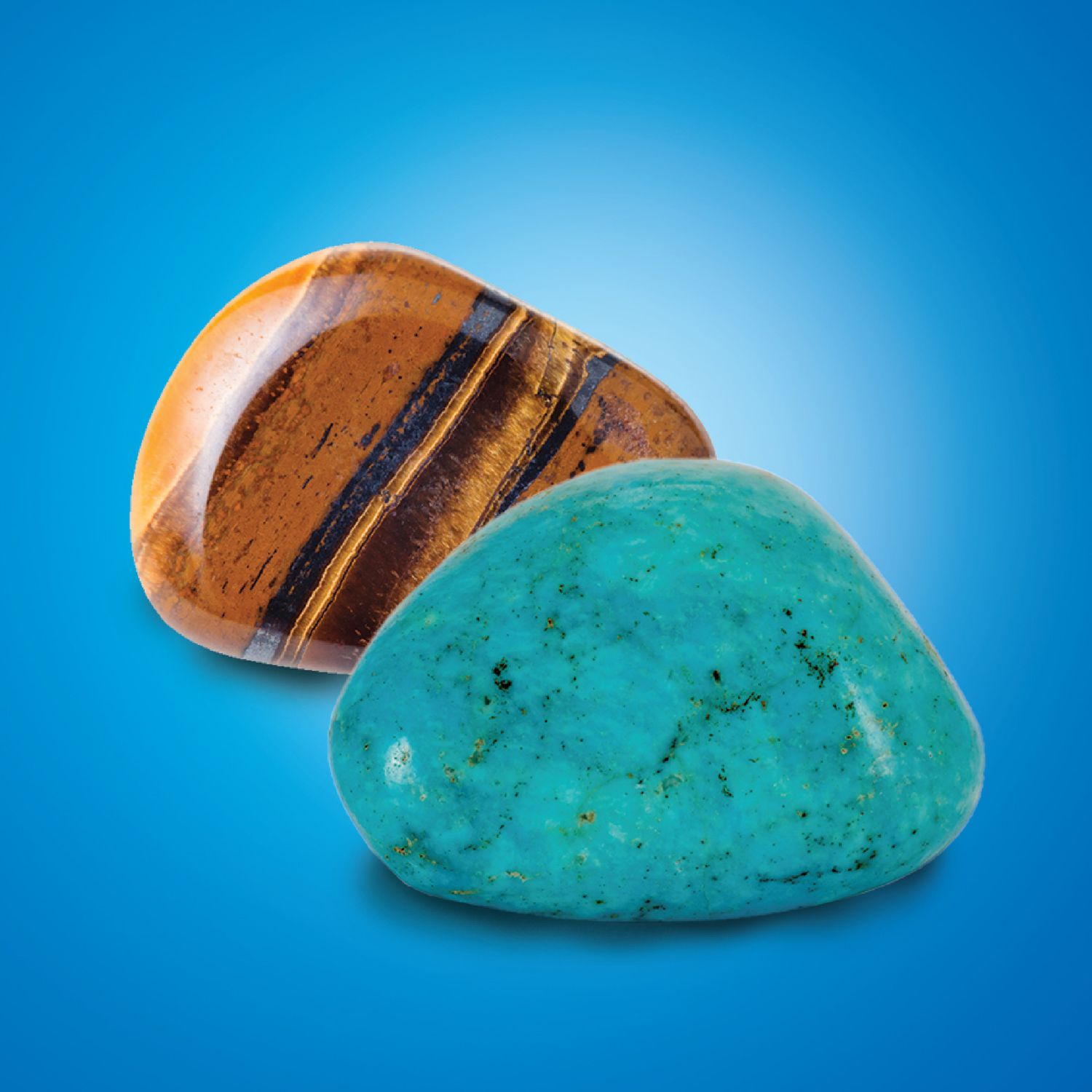 Kit paleontologo con 2 tesori - Discovery Mindblown