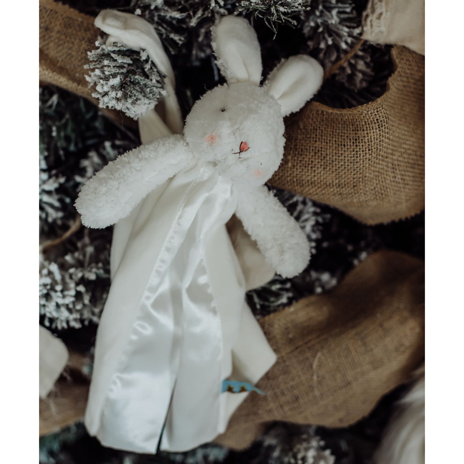 Dudù bun bun bunny bye bye - Bunnies By The Bay