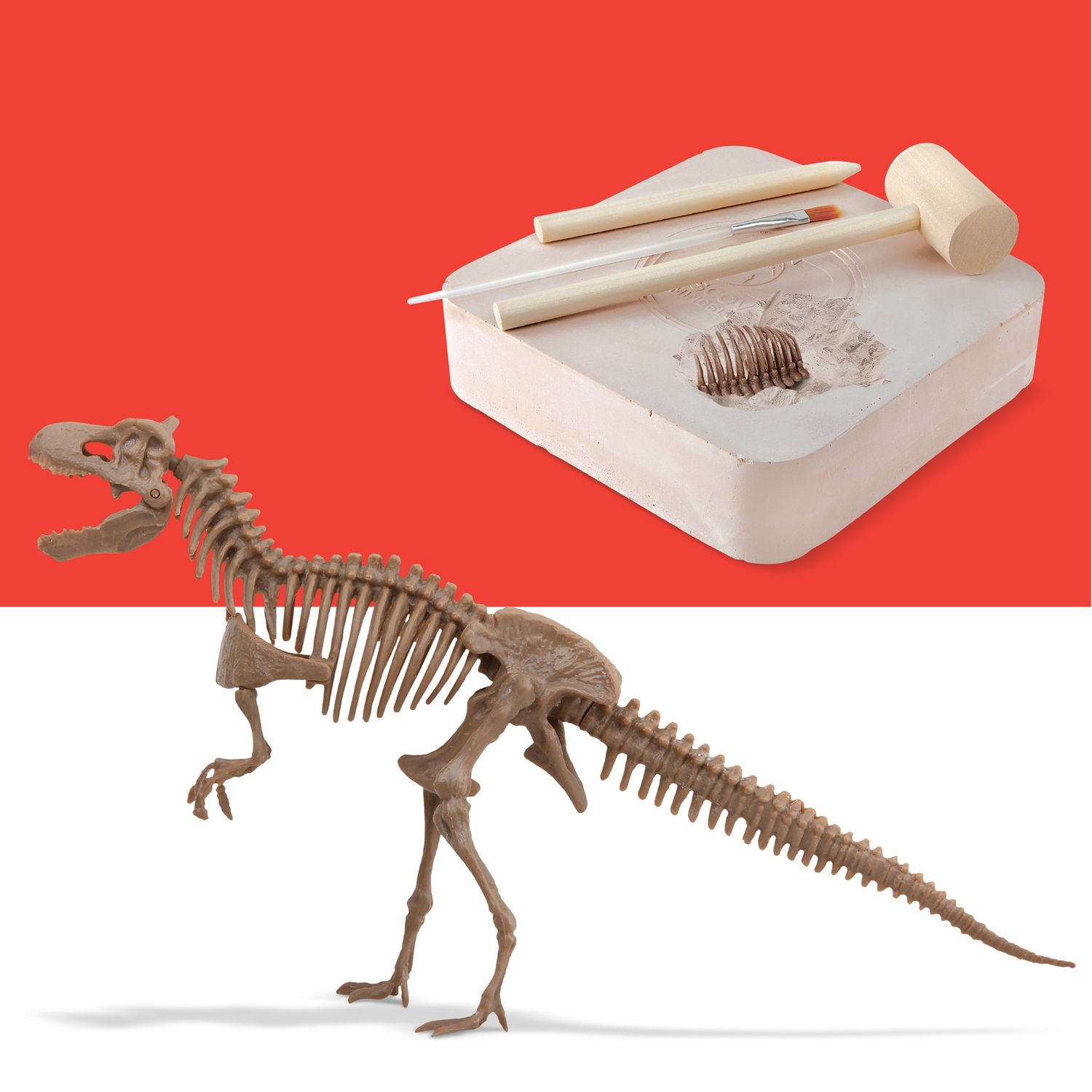 Kit paleontologo con scheletro t-rex 3d - Discovery Mindblown