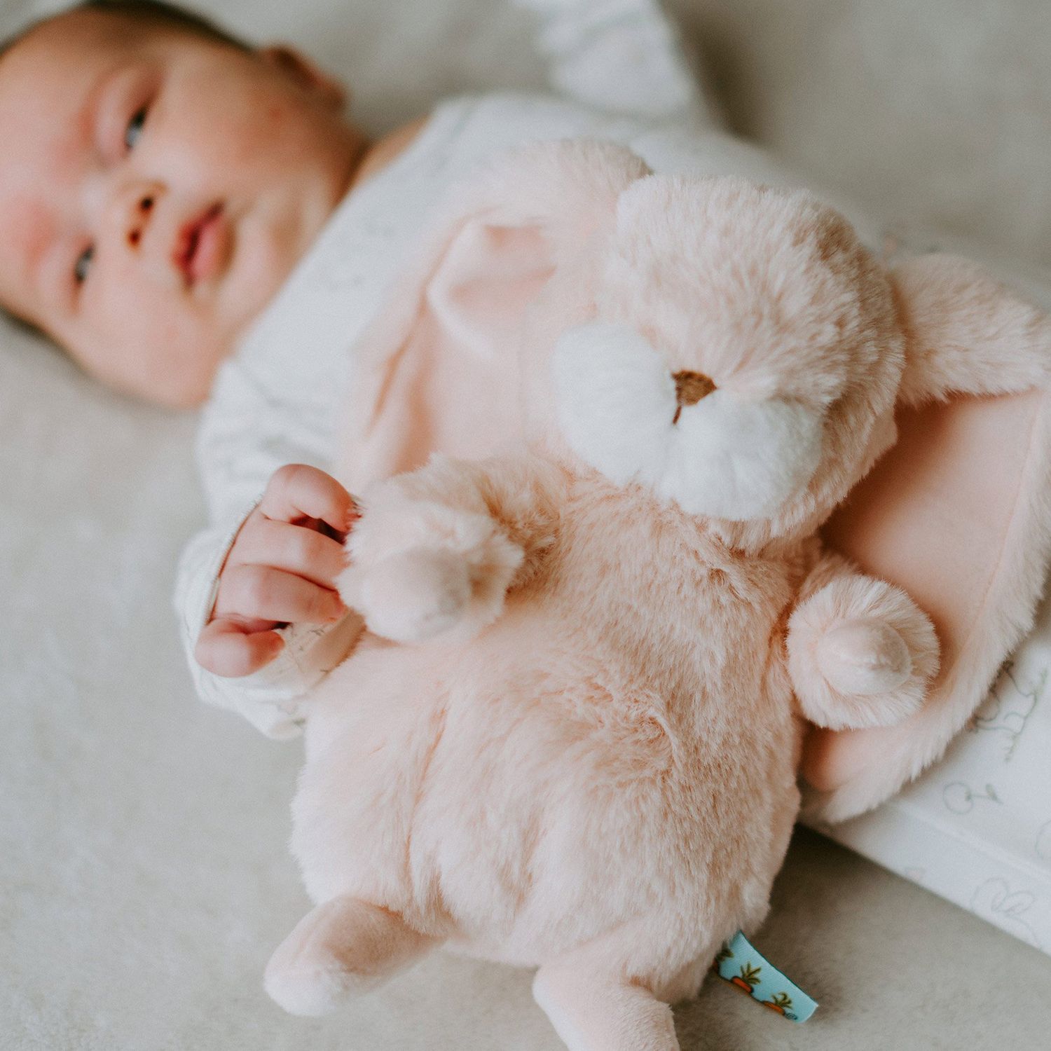 Peluche tiny nibble pink bunny 20 cm - Bunnies By The Bay