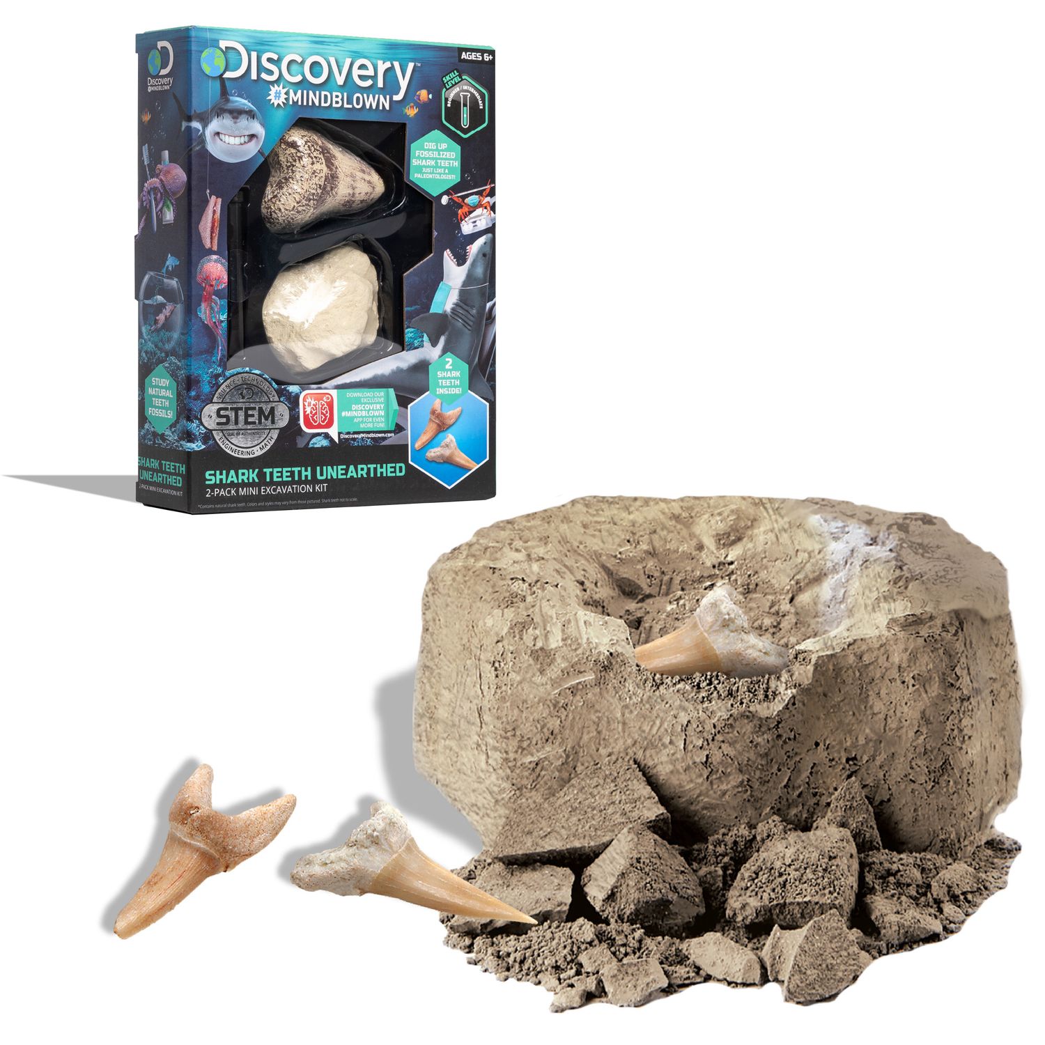 Kit paleontologo con 2 denti di squalo - Discovery Mindblown