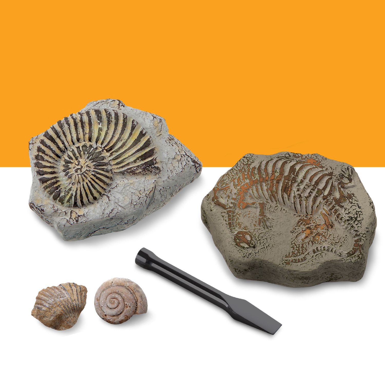 Kit paleontologo con 2 mini fossili - Discovery Mindblown