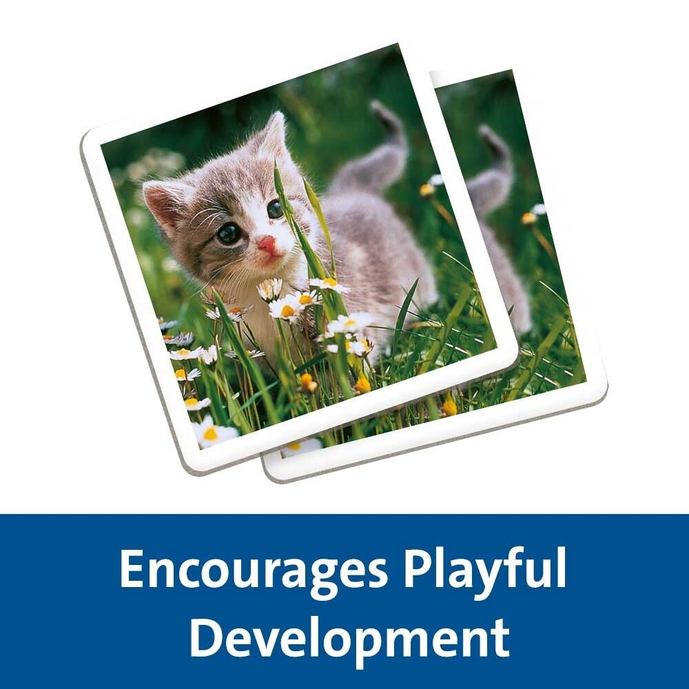 Ravensburger - memory® animal babies, 64 tessere, gioco da tavolo, 3+ anni - RAVENSBURGER