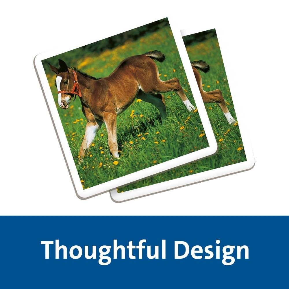 Ravensburger - memory® animal babies, 64 tessere, gioco da tavolo, 3+ anni - RAVENSBURGER