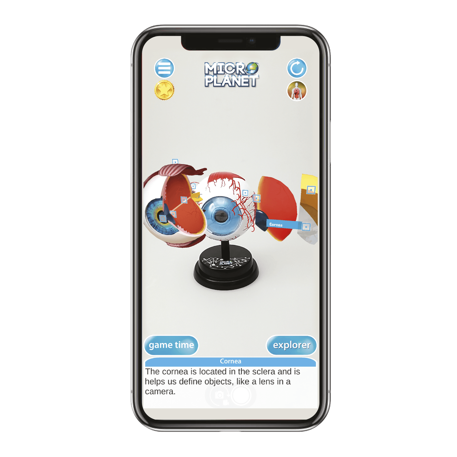 Occhio - modello anatomico in 3d - MICRO PLANET