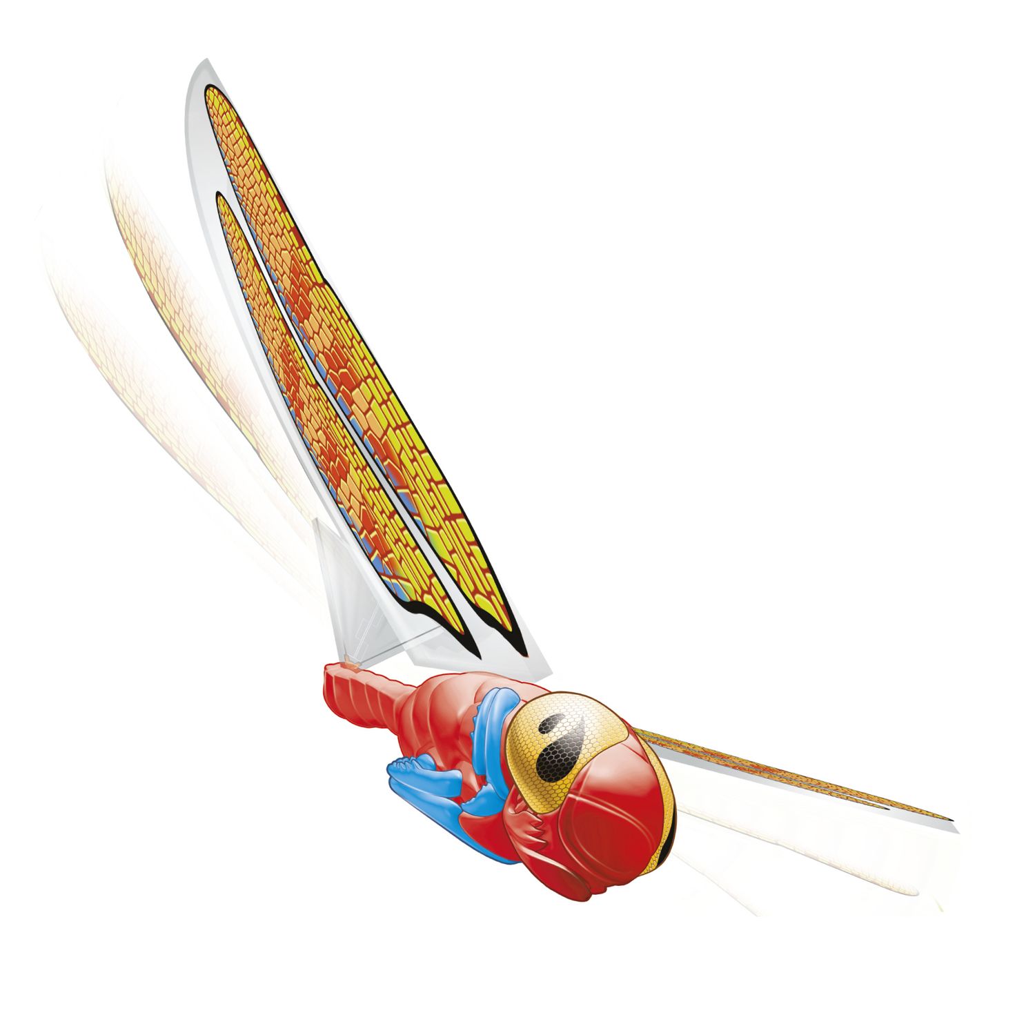 Libellula volante - SUN&SPORT