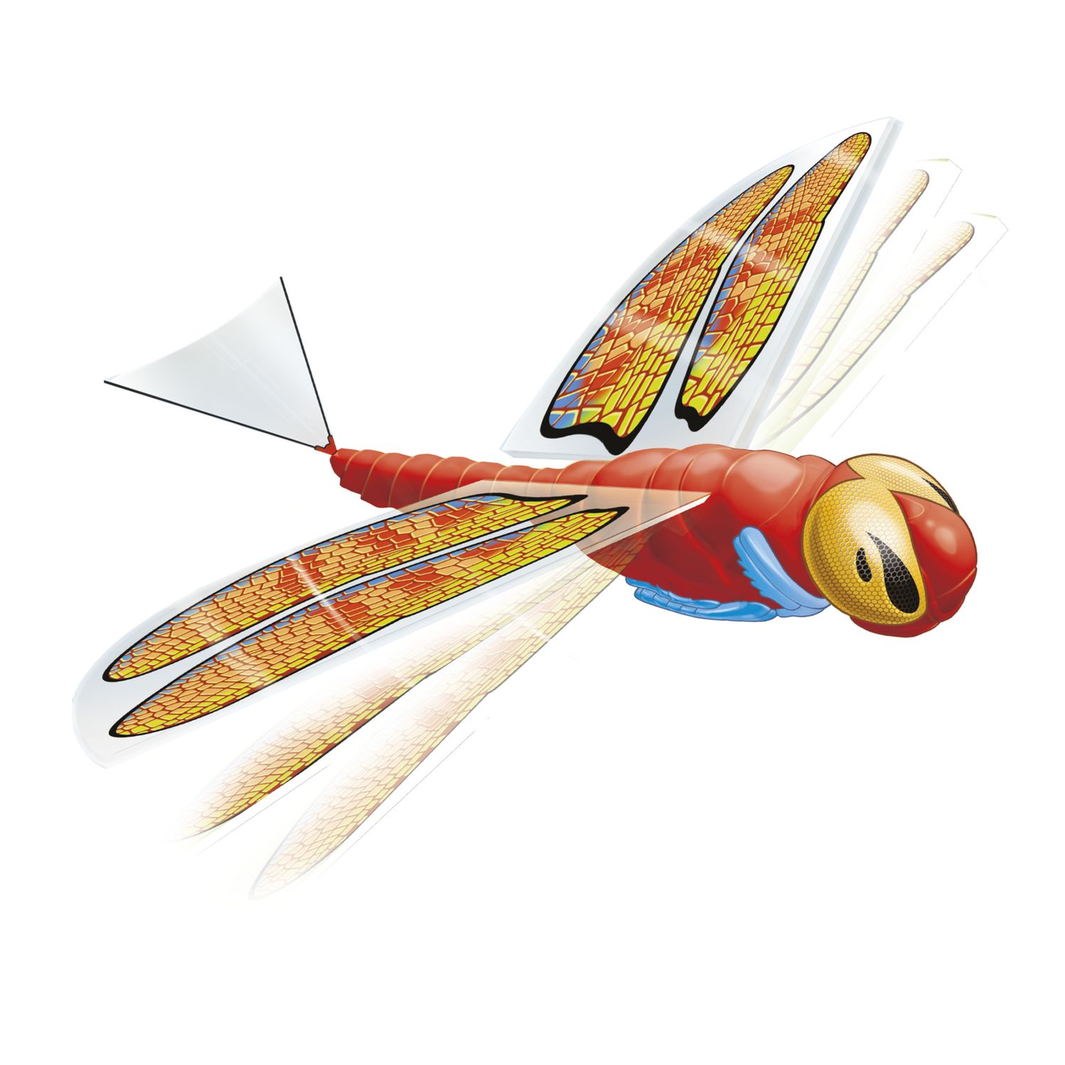 Libellula volante - SUN&SPORT