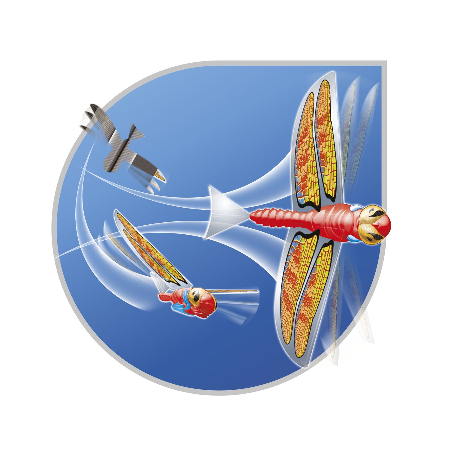 Libellula volante - SUN&SPORT