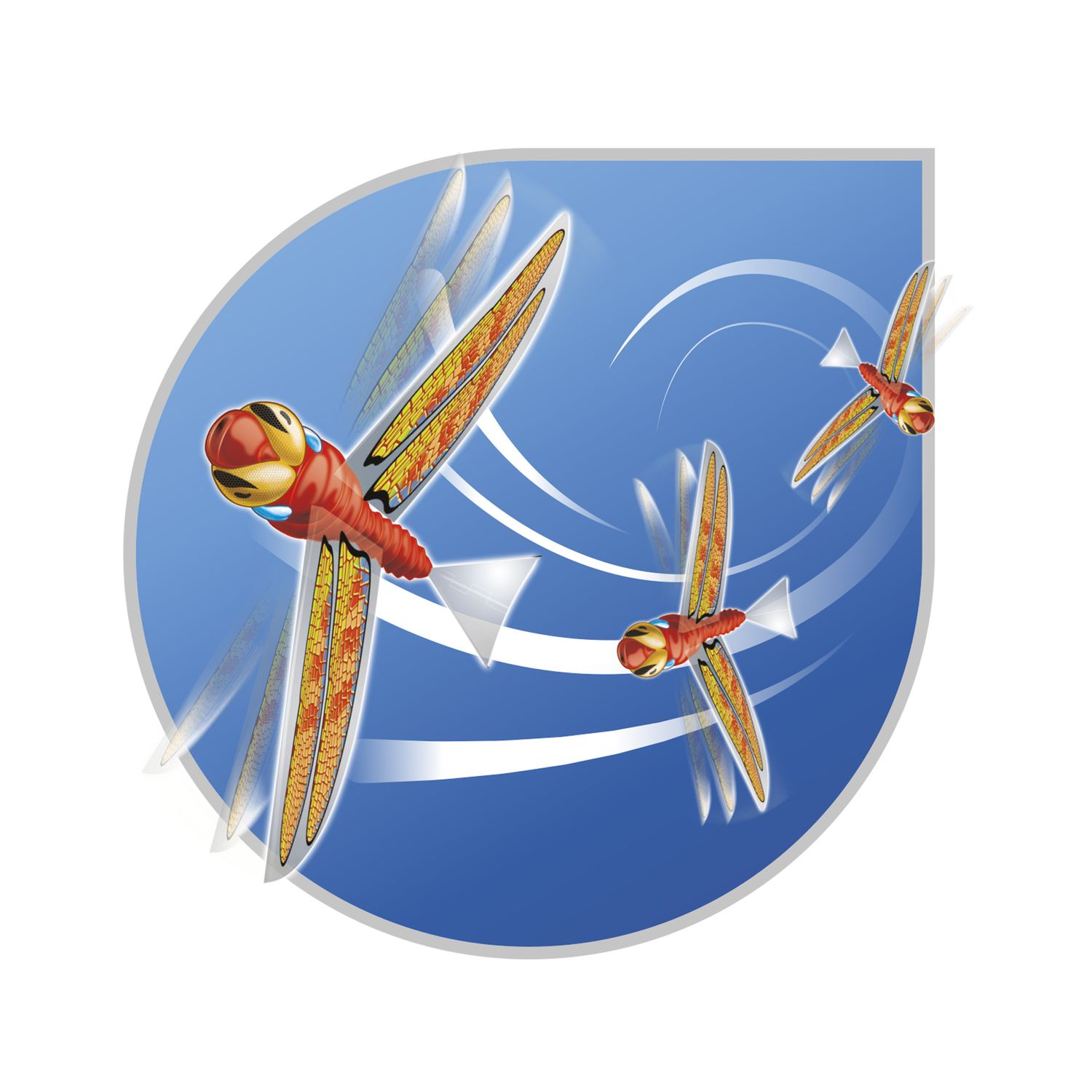 Libellula volante - SUN&SPORT