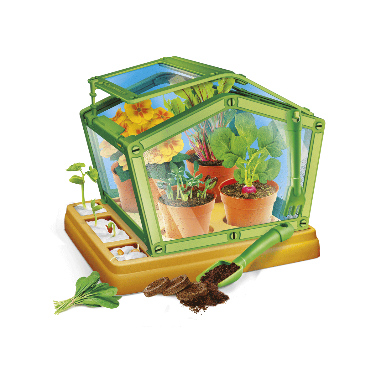 Clementoni - science & play lab - la scienza in serra, 19365 - CLEMENTONI, Scienza e Gioco