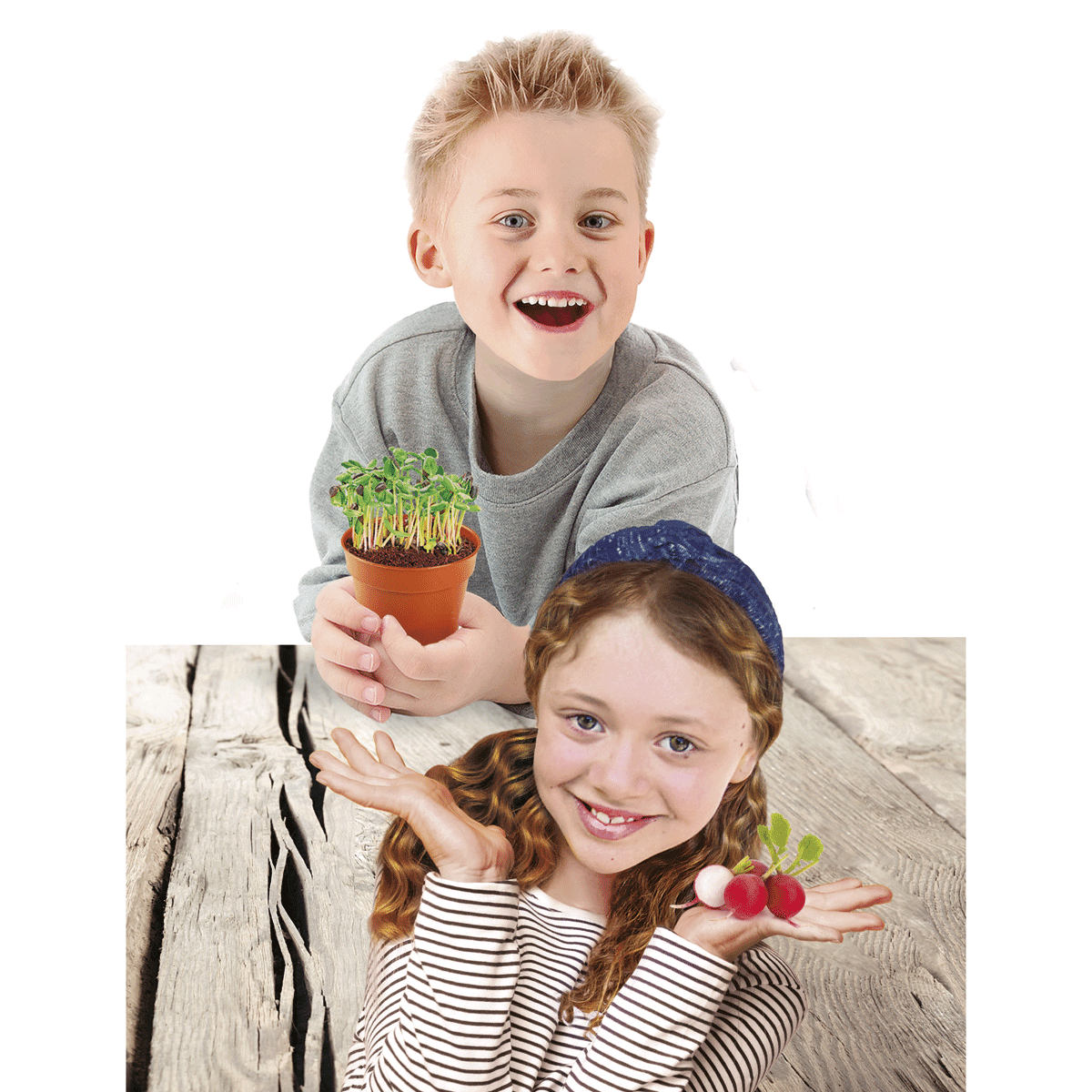 Clementoni - science & play lab - la scienza in serra, 19365 - CLEMENTONI, Scienza e Gioco