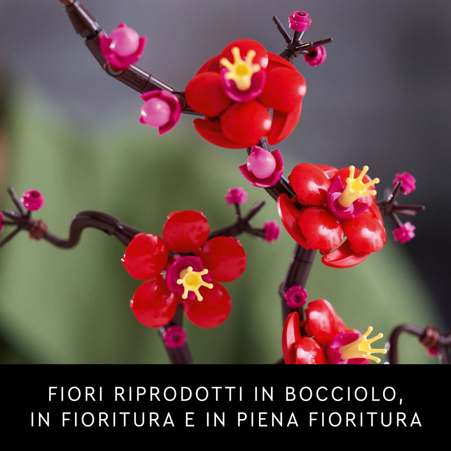 Lego icons 10369 albicocco giapponese, fiore finto artificiale da costruire per adulti, idea regalo per donna, uomo, lei o lui - LEGO ICONS BOTANICAL, Lego, LEGO ICONS